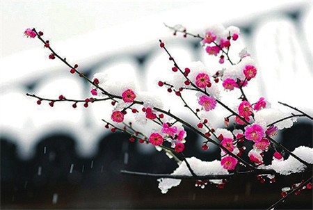 瑞雪兆豐年直流屏廠家春節送祝福